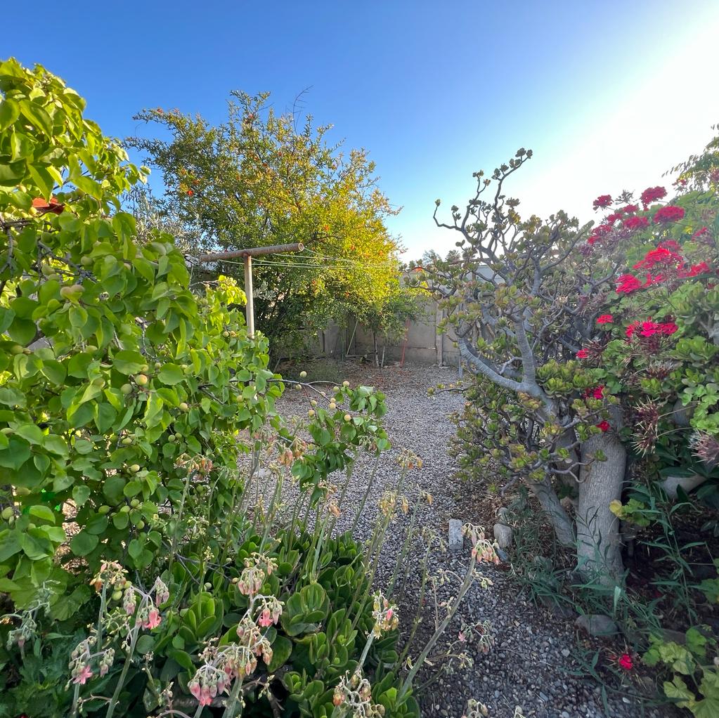 AMPLIA CASA - CALLE VAN BUREN.-